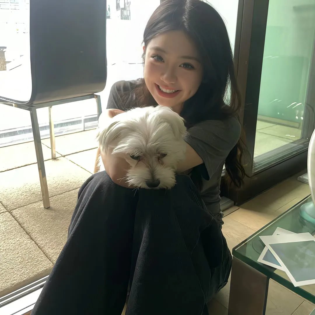 奇波和神奇动物的时代第一季